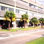 Brunel University
