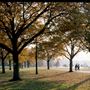 Hyde Park