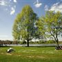 Hyde Park