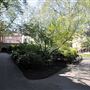 Mount Street Gardens