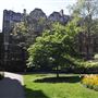 Mount Street Gardens