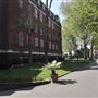 Mount Street Gardens