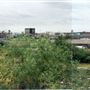 Agar Grove Estate