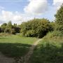 Stave Hill Ecological Park