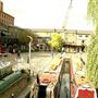 Camden Lock