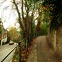 Hampstead area
