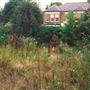 Ennerdale Road, Kew