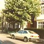 Craven Gardens