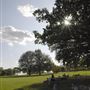 Brockwell Park
