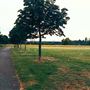 Little Wormwood Scrubs