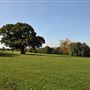 Mountsfield Park
