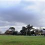 Wimbledon Windmill
