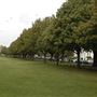 Richmond Green