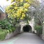London Zoo
