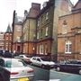 Thistle Grove
