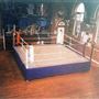 All Stars Boxing Gym