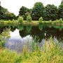 Bedfont Lakes Country Park