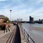 Isle of Dogs