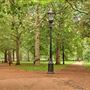 Green Park, The