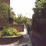 Rawstorne Street
