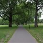 London Fields