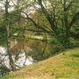 Stanmore Common