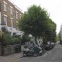 Flask Walk
