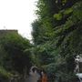 Flask Walk
