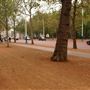 St James's Park