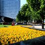Canary Wharf