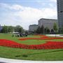 Jubilee Gardens