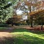 Gunnersbury Park
