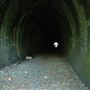 Highgate Tunnels