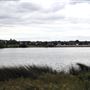 Welsh Harp Resevoir