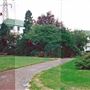 Capel Gardens