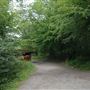Highgate Wood