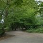 Highgate Wood