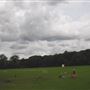 Highgate Wood