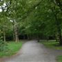 Highgate Wood