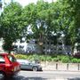 Hackney Road