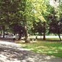 Highbury Crescent