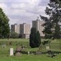 Lavender Hill Cemetery
