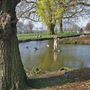 Gladstone Park
