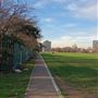 Shoreditch Park