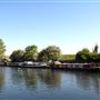 Springfield Park
