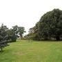Norwood Grove