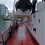 SS Robin