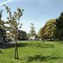 Winchmore Hill Green