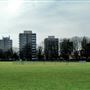 Wandsworth Common