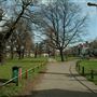 Tooting Triangle